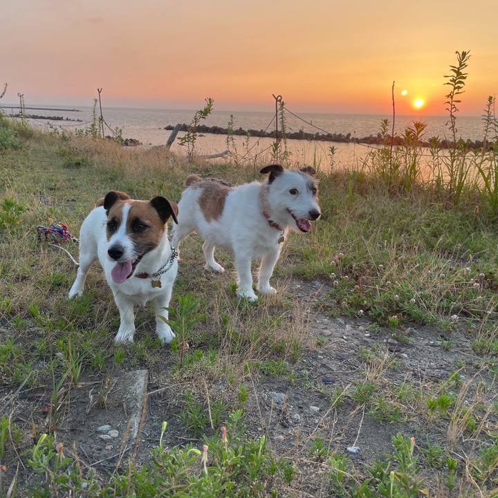 C8fa35b9 1291 45f4 90d3 70366ecb68c9 1751977281930