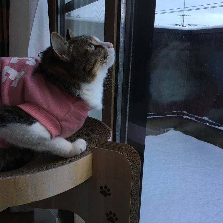 C8fa8fdf 766d 44a5 bb1c 1848b6b13a21 1676415214019