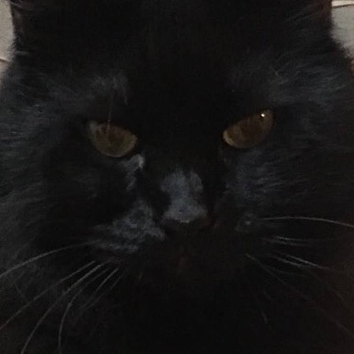 C8faabb3 a90d 4354 95c6 8c4f224b156f 1572043190608