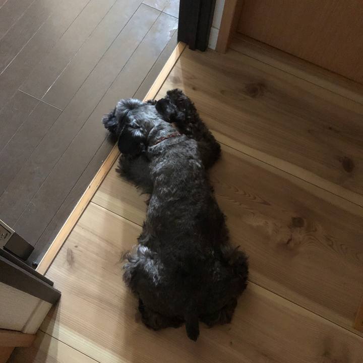 C8fac1f3 c73a 4d0d b944 5fb8399ec755 1564117841736