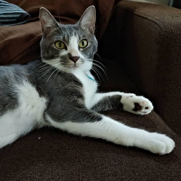 C8fad557 76e2 4a5d a699 31806694c8c5 1593681298120