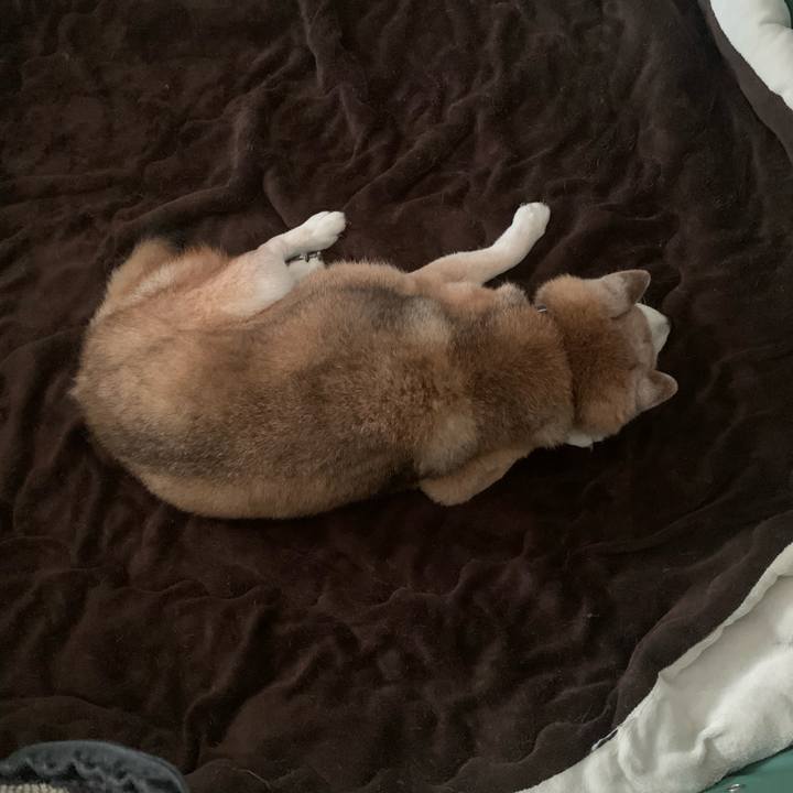 C8fadff3 61f8 4af3 85e0 5ce4826a8af4 1695941211470