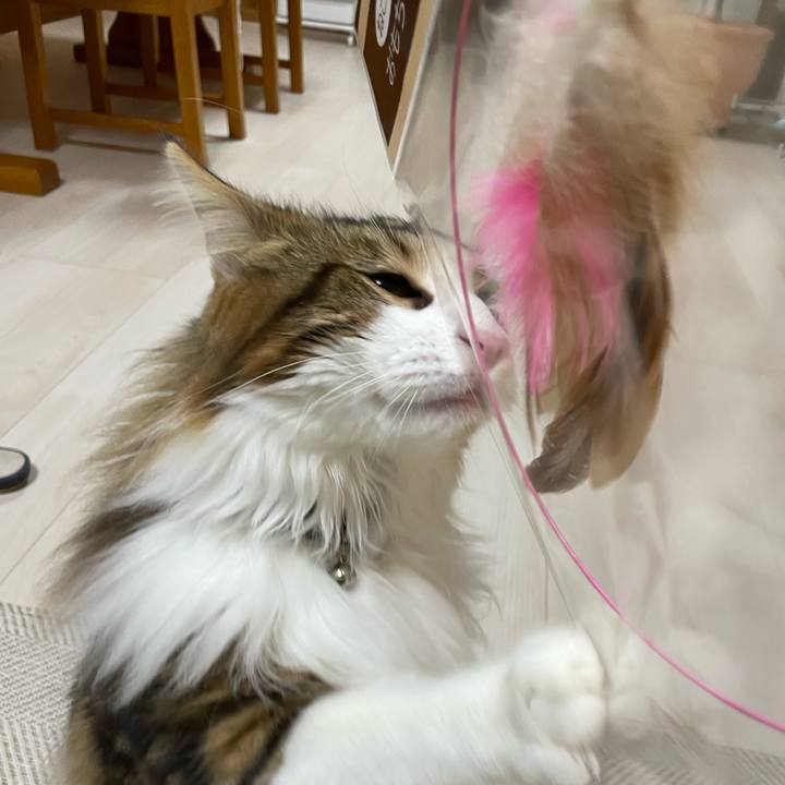 C8fae049 0a3f 45db 863c 9dc0e4ad10f9 1645787593673