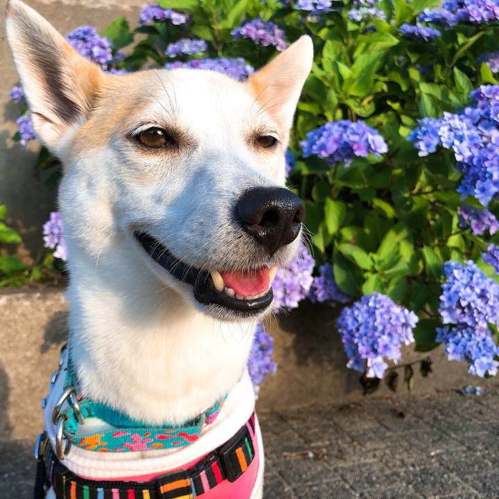 C8faf89c a1db 4103 8c5d 41cbd88eff6d 1592310820916