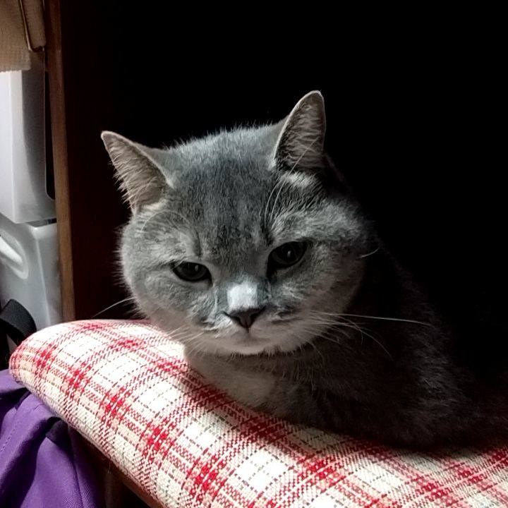 C8fafdaf c4f0 4b56 a452 f551e16c6527 1566009031815