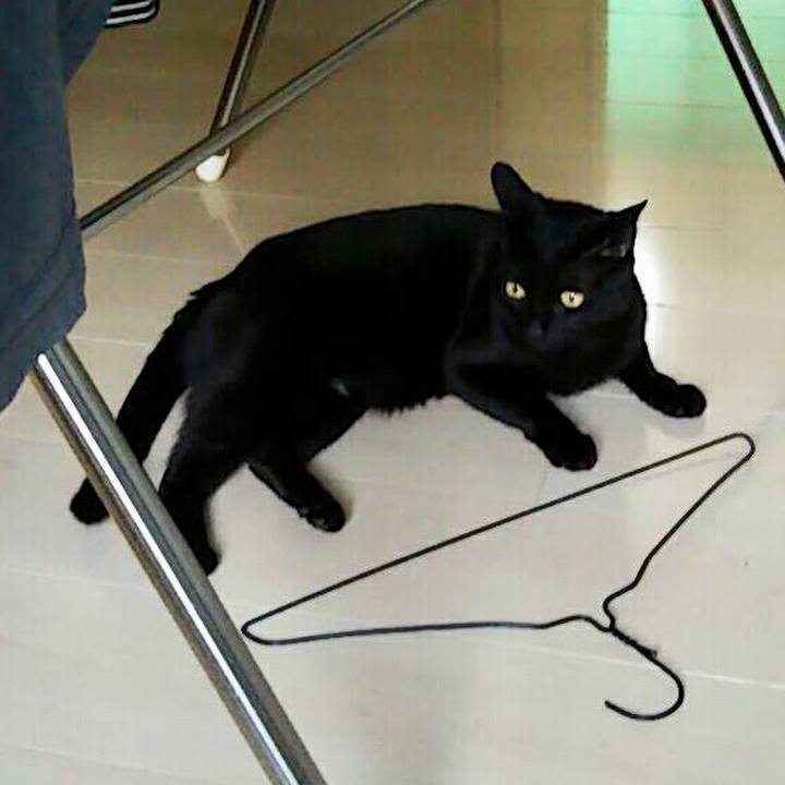 C8fb86bd 1dc8 4e00 9c1f d6ab25175d40 1526468297303