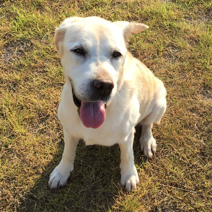 C8fb8a5b a8dc 49cd 8e75 65db00581819 1534365117358