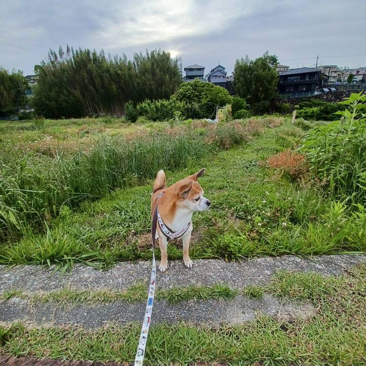 C8fb9bcf 8934 418a 9014 af036f2ff400 1748294891647