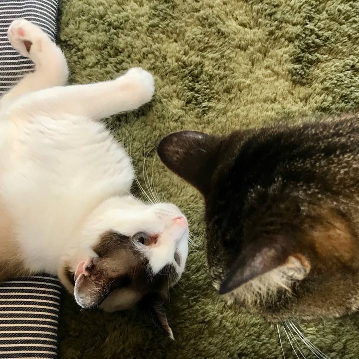 C8fbd5ff 0d72 4375 aec7 e79094794773 1593257097269