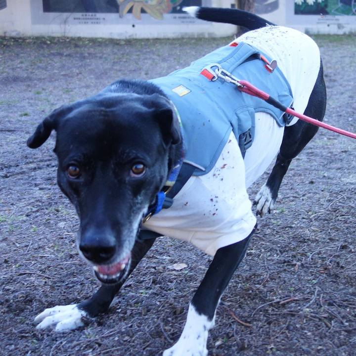 C8fbe775 513c 4f85 b031 01c8895525b6 1707786402318