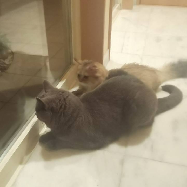 C8fc4238 300d 4e9a a4d8 c51adca1308e 1559702459507