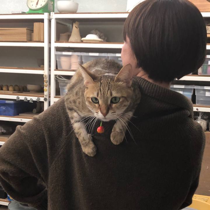 C8fc6150 37b2 45ee bf2f 5ebfd052ad2f 1642375529343