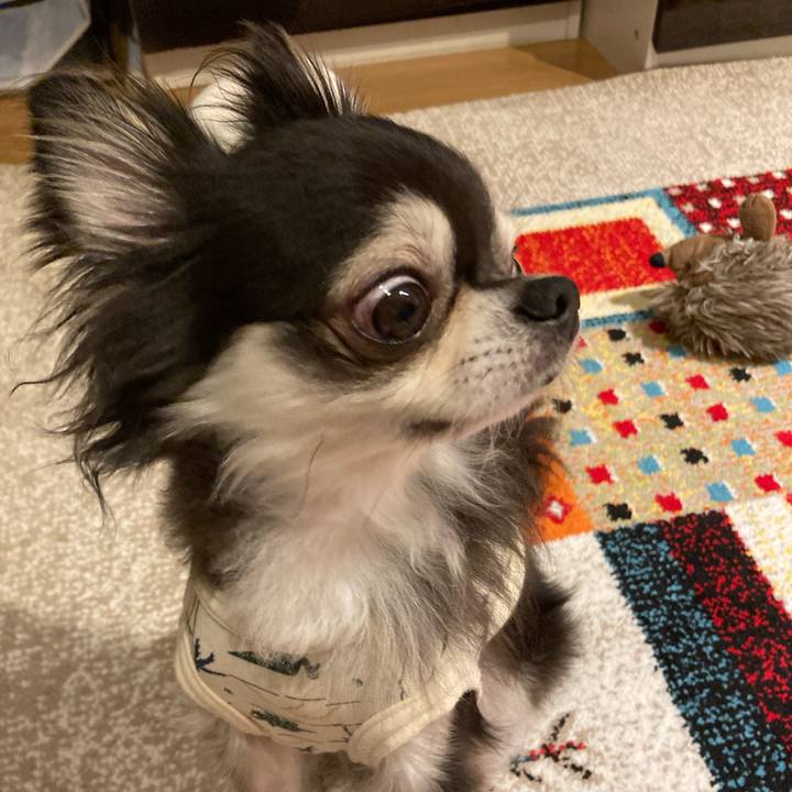 C8fcd72a 1285 4267 aaff 2fa5941e4a4a 1714926234381