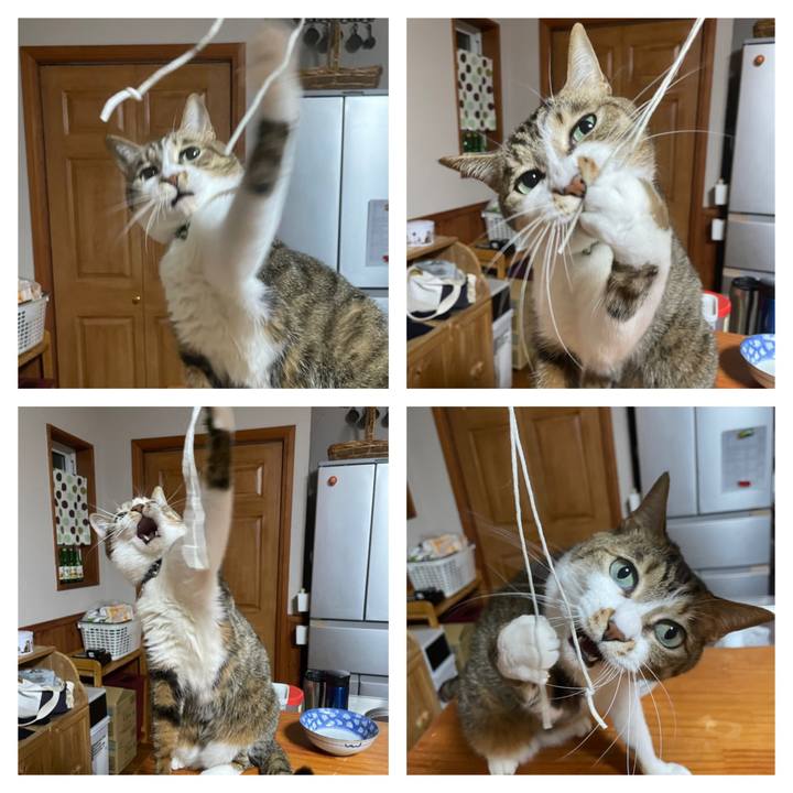 C8fcd8df e94b 4f94 a3b4 21768b613e5f 1644589287342