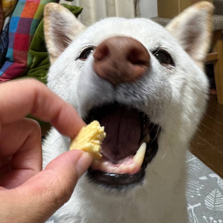 C8fcde6a c954 43bc 863d e725e2d10e05 1774271143047