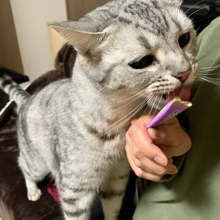 C8fce316 8571 42a7 85b3 a170c80b14e0 1616294673934