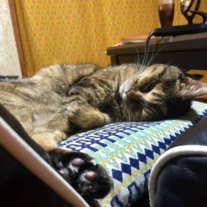 C8fd2435 5eef 4bca b6e2 3789a32c5e17 1595629219057