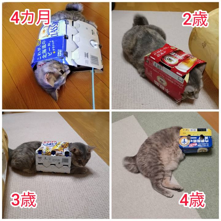 C8fd545f d8e9 4a84 8ed6 edbcad8a4fe9 1600733897320