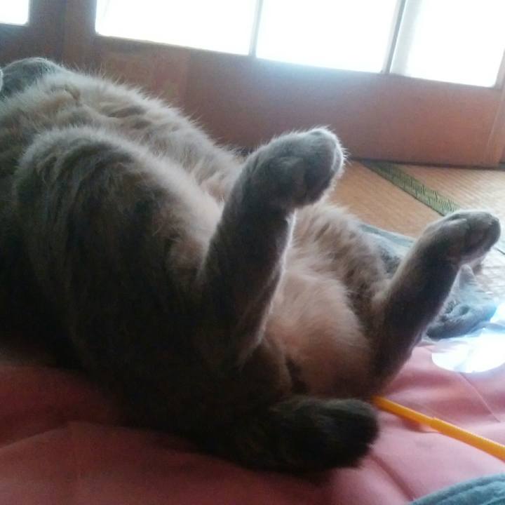 C8fd93fc 3314 4ac8 8f20 059919fbe9cc 1535153211019