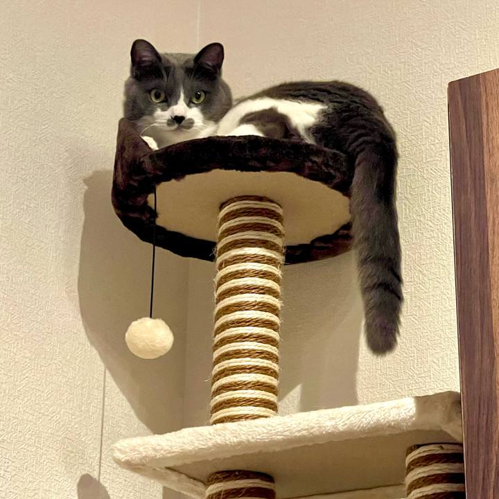 C8fe2335 6aea 4125 baa2 8d6647b1ca6e 1686656634230