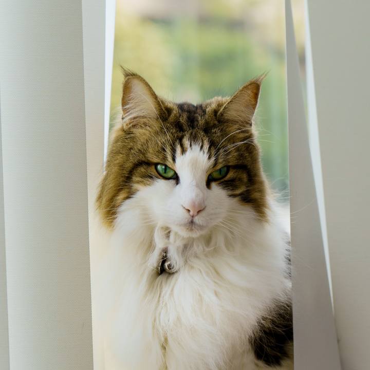 C8fe6366 4f76 4c76 8e38 95bdb0cb7f0b 1646310302345