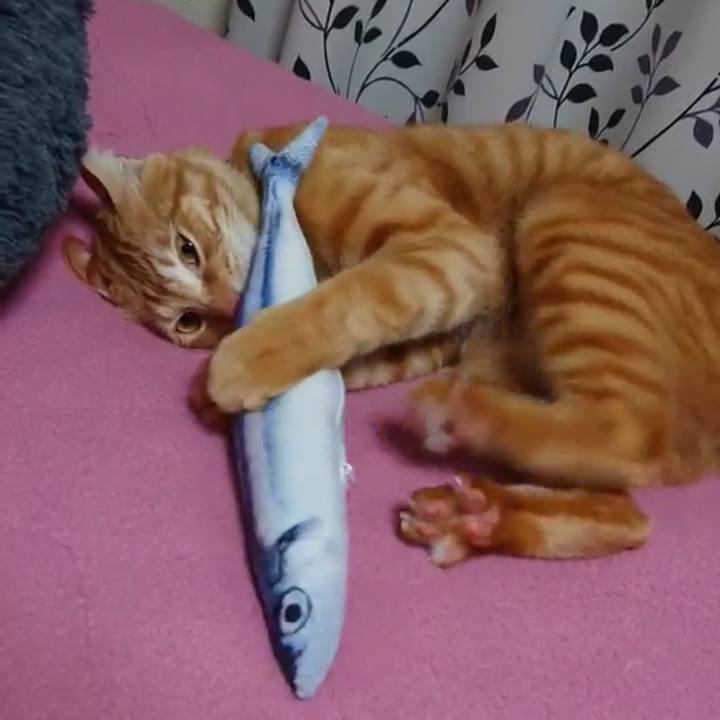 C8fe65b0 95c9 4b2e a432 370fd59d1118 1577312589202