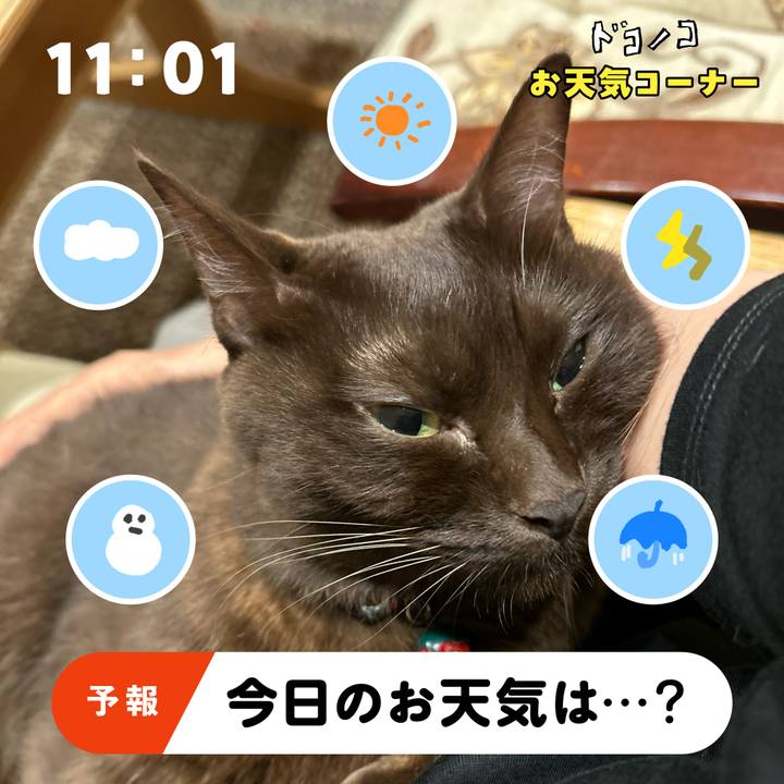 C8fe6600 bf6e 40af 9568 29c03f94d3e0 1781995224569