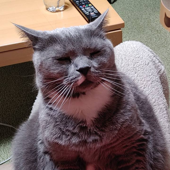 C8fe7141 950d 4e4d a46e 39b411274516 1709999054914