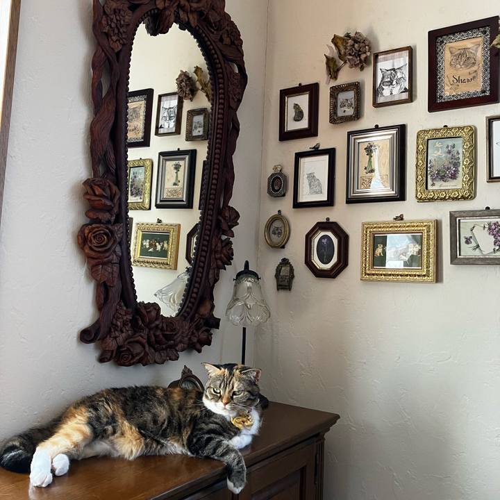 C8fe7331 83d3 4082 b724 37a0bfcd35aa 1772676160132