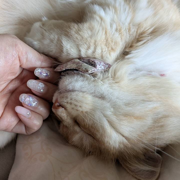 C8fe8fff 6496 452f b4f4 8b301f806d79 1755314221869