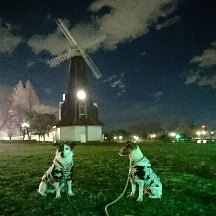 C8feed79 1f2f 4ea5 b843 6217aec98d19 1583923461440