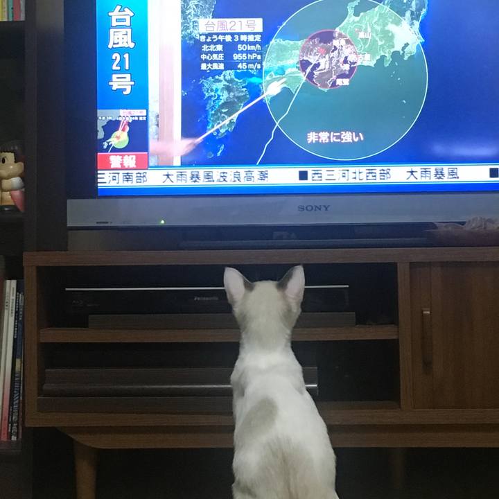 C8fef8bd 8a13 4d69 a4ba 283bfb8e1f99 1536131260381