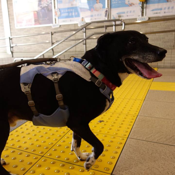 C8ff0749 48c5 4b6d 9ed8 25365bd6b7c7 1752882582085