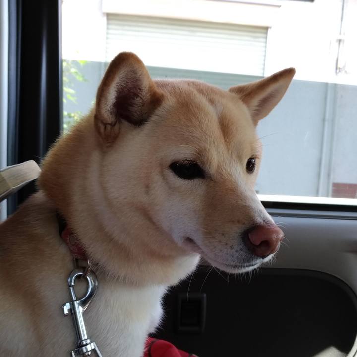 C8ff0817 d1fc 48f5 a545 545d2b8cbd63 1543141154736