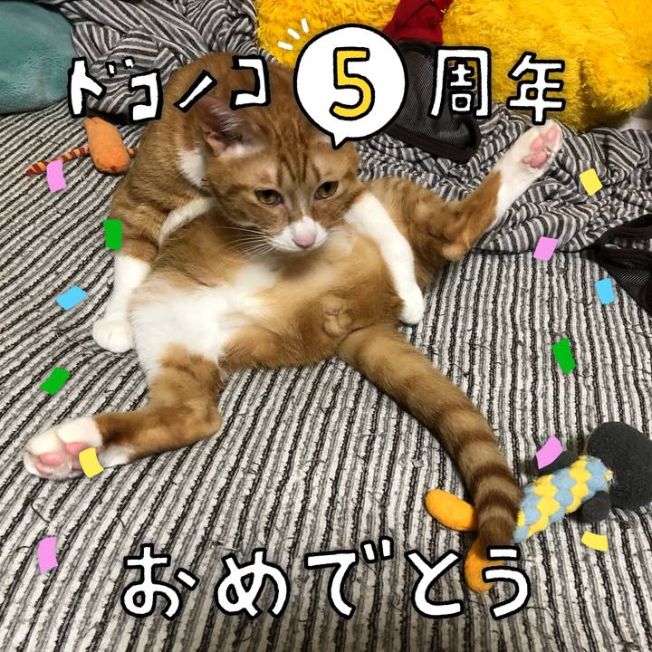 C8ff3461 86fd 4d5e b6fc e9930b54d55c 1623187379415