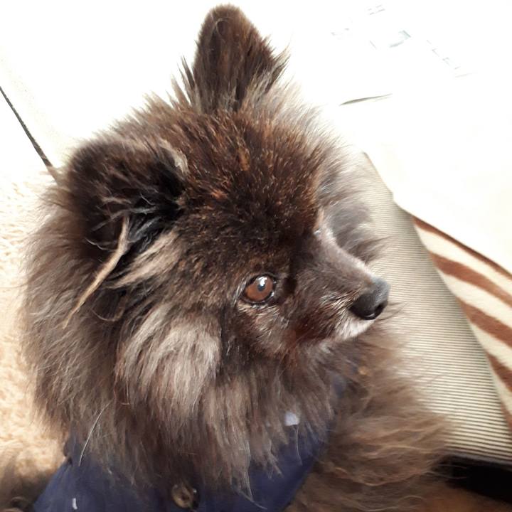 C8ff70aa 0996 4812 ac57 89c113ad0548 1518578543361