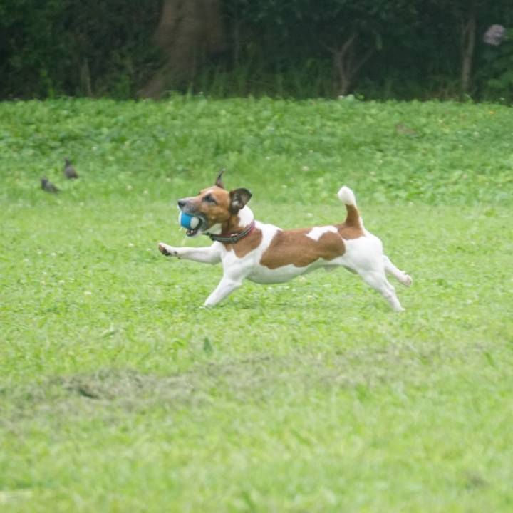 C8ffa067 d46b 44fe 8f95 e61beb19b8f1 1562626852452