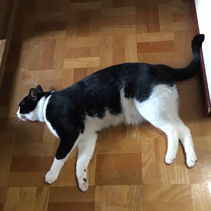 C90026e6 b39c 4e06 8a9a f47eee4b9f28 1723628735549