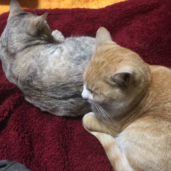 C9002b70 d149 4f34 87c0 ee2e0827e5fc 1514120367348