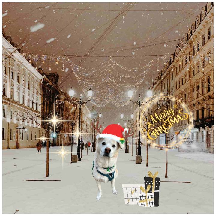 C9004685 380f 4159 a208 6823b11b93ba 1735035201686