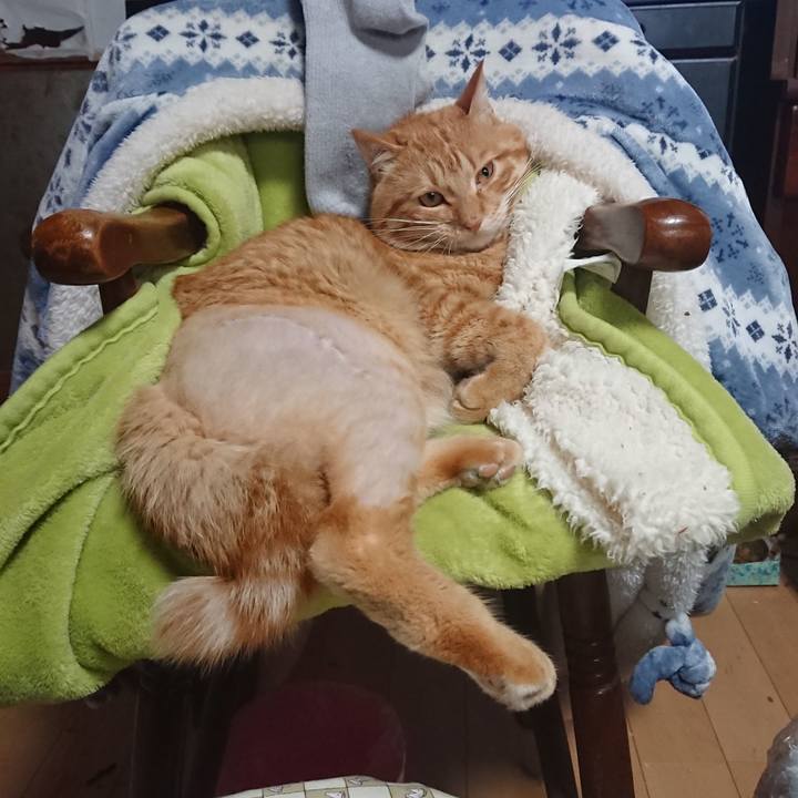 C900c076 87a0 47d8 9cbb e39b04f3f03a 1654900795131