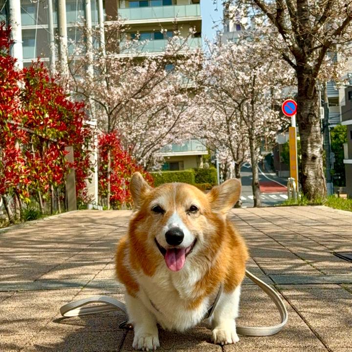 C900d1c4 ebc7 4102 8bd2 37b54a6f1cc0 1774772067470