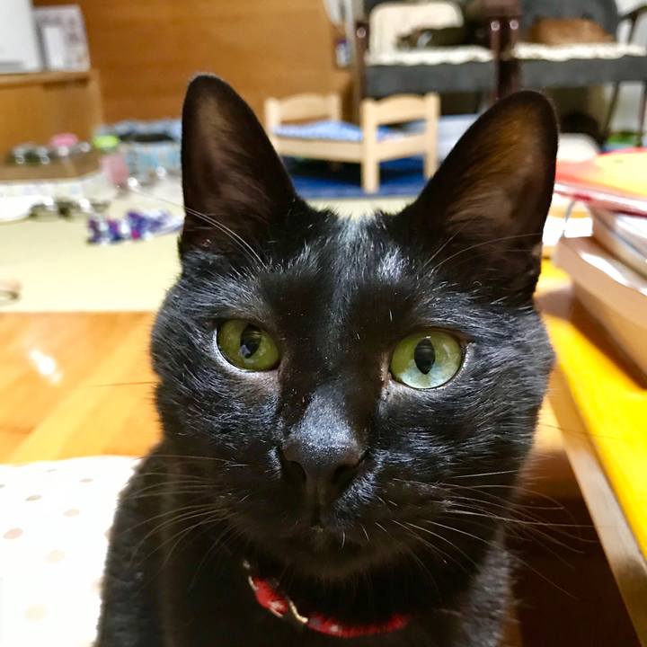 C9010168 7d66 4feb 90b6 40e46f6e3a1f 1530357998228