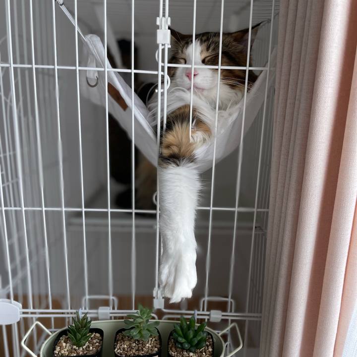 C901344a 3031 4b2d bf12 b0c8a15b114b 1649565460865