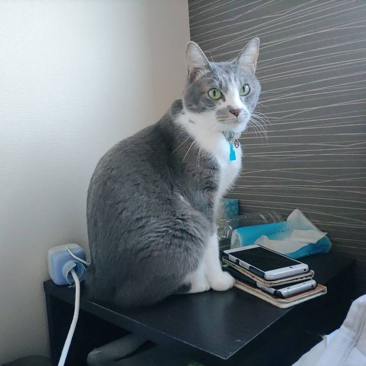 C9013cb5 b5ad 429a a7b4 7d55ee4f81da 1700870649099