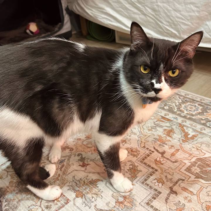 C9016aa6 011e 42ff 8bef 74a808fc1213 1772715896330