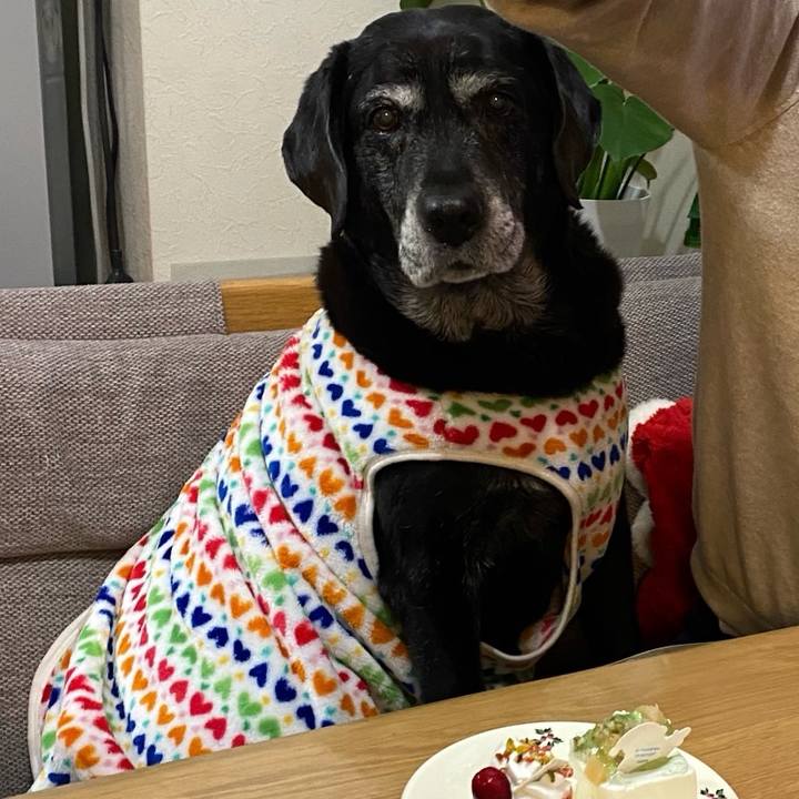 C9017350 cf26 4666 bc92 536832d8e455 1766589470664