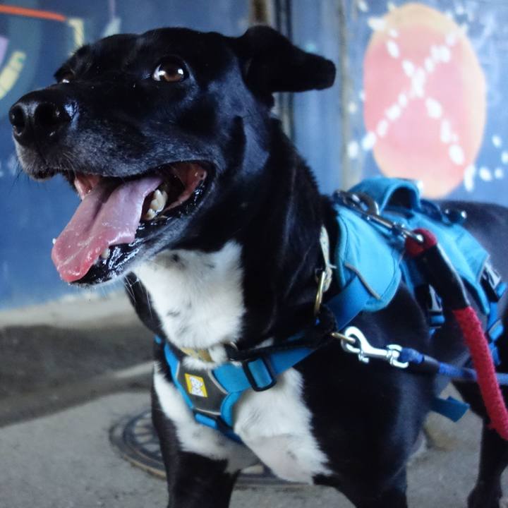 C9017512 9ee2 4362 94cc a65e3cc11877 1632357260427