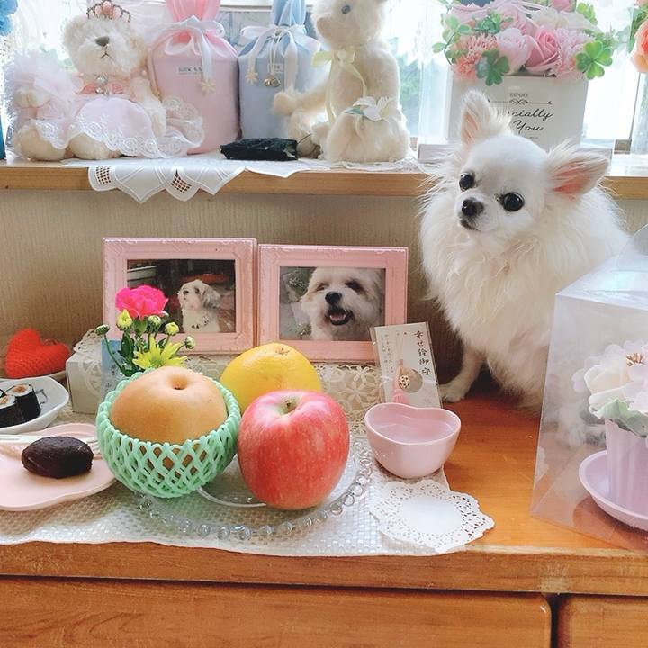 C9017e08 6571 49dc b1c1 4a3176bcfce6 1758612653396