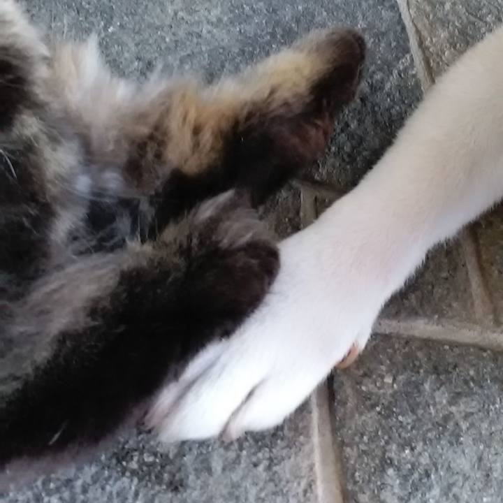 C9019efe 7c3a 4558 aa73 9d420728ebea 1632700272017